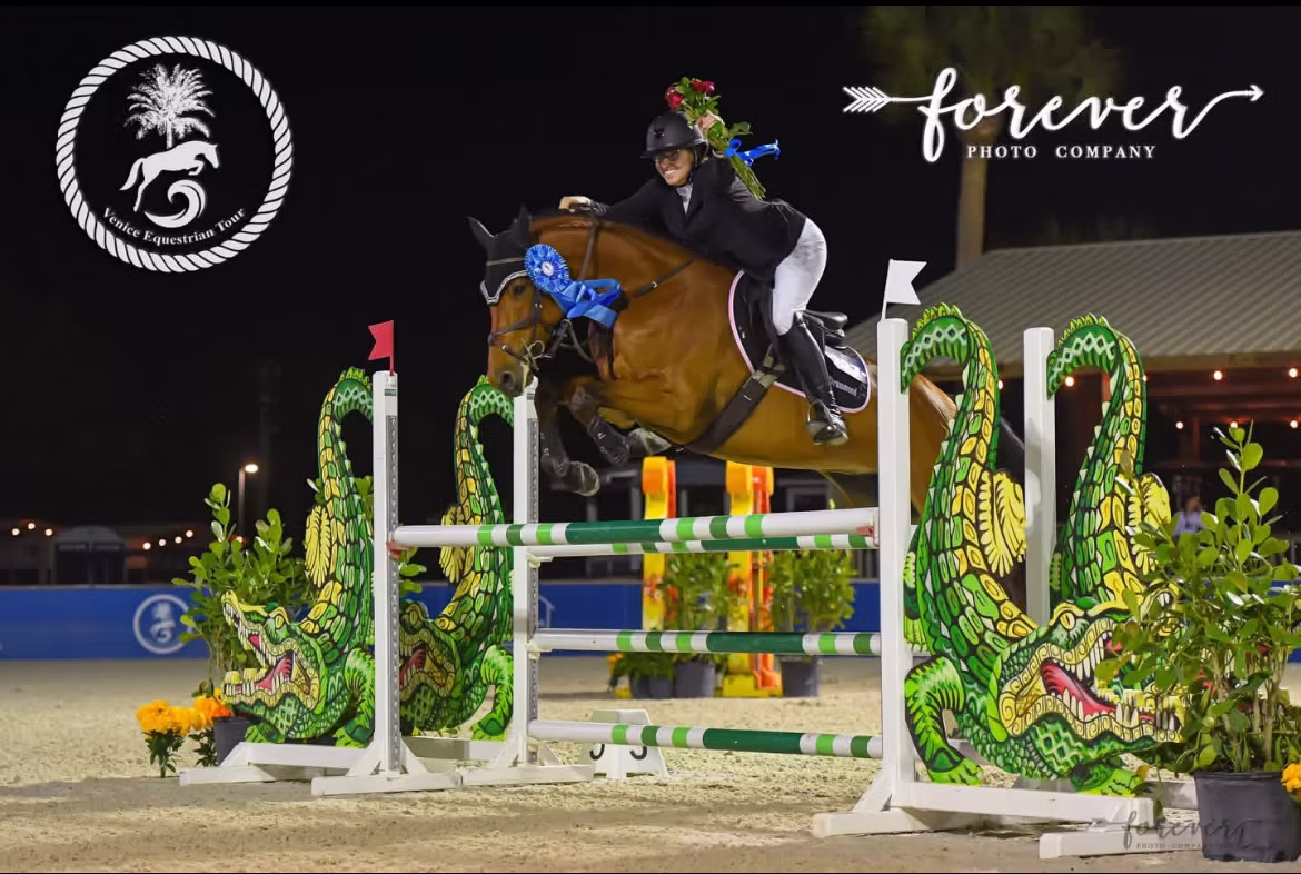 Dreamstead Equestrian gallery photo 4